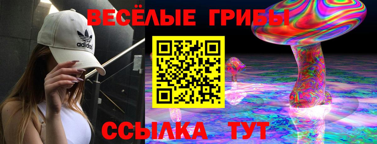 Галлюциногенные грибы мицелий Чебоксары